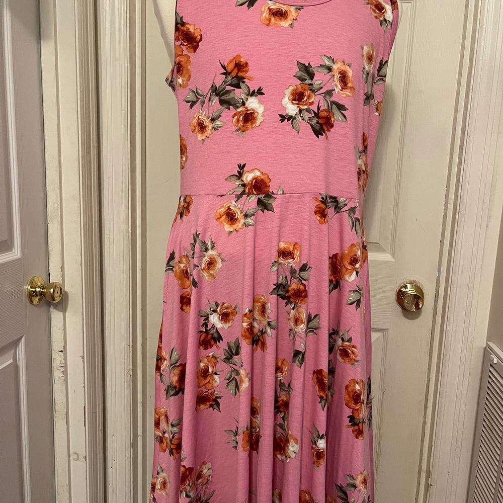 Lularoe Nicki dress